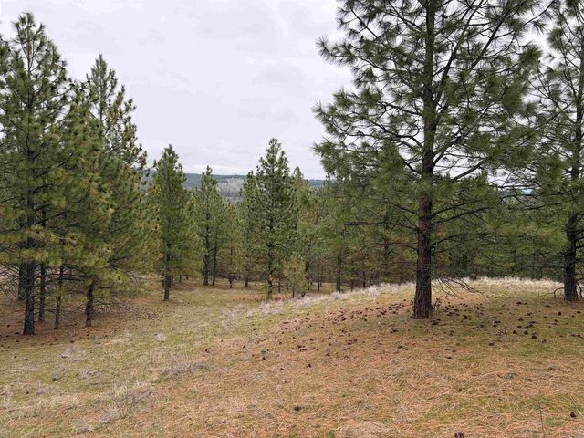 xx N Bernhill Rd, Nine Mile Falls, WA 99026