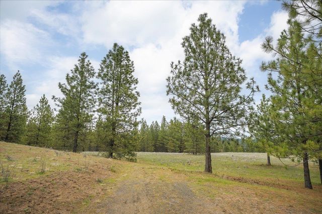 xx N Bernhill Rd, Nine Mile Falls, WA 99026