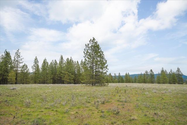 xx N Bernhill Rd, Nine Mile Falls, WA 99026