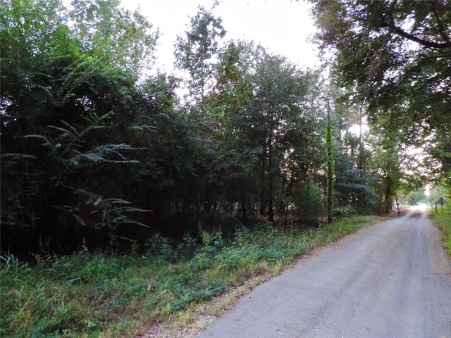 TBD Martin Luther King Drive, Cleveland, TX 77327