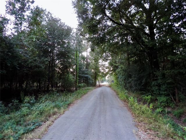 TBD Martin Luther King Drive, Cleveland, TX 77327