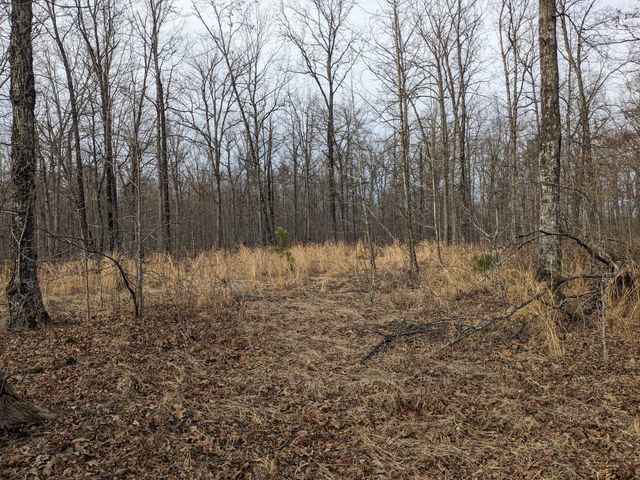 000 Unnamed Road, Eminence, MO 65466