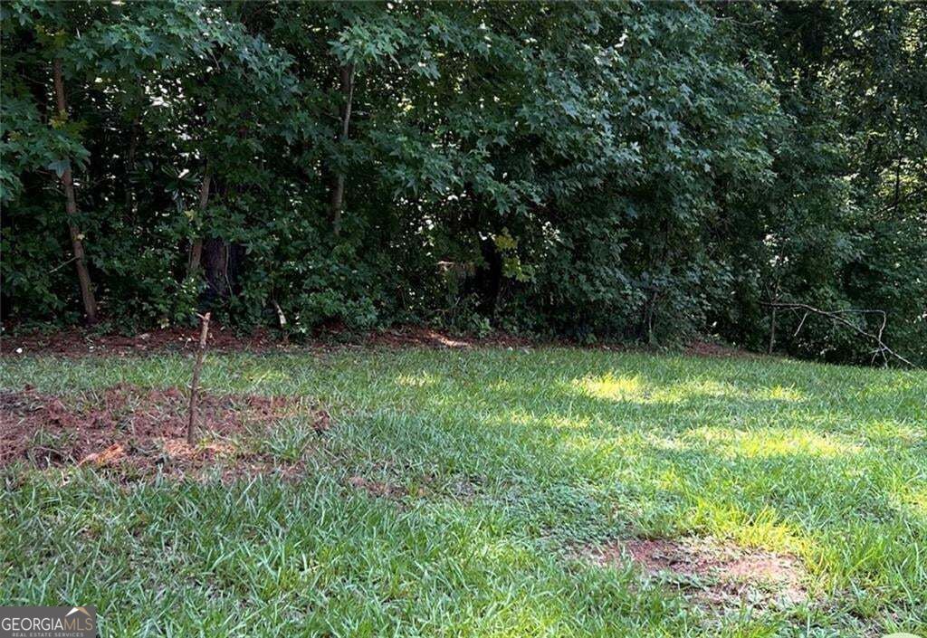 3005 Patty Hollow, Decatur, GA 30034 — photo 3