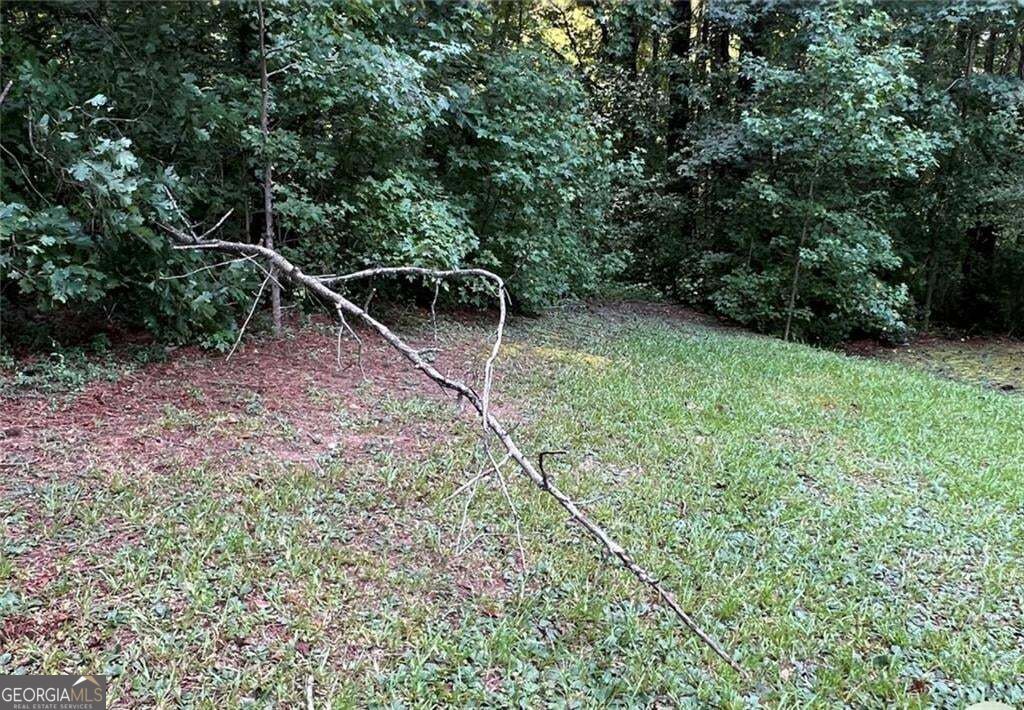 3005 Patty Hollow, Decatur, GA 30034 — photo 4