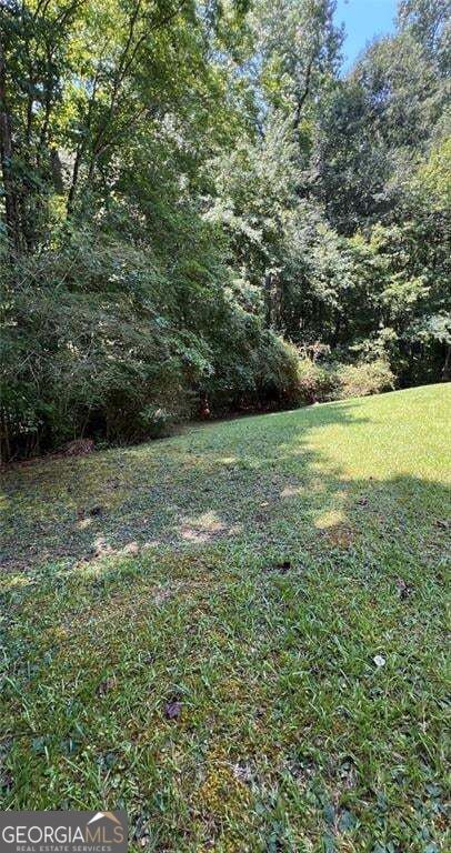 3005 Patty Hollow, Decatur, GA 30034 — photo 5