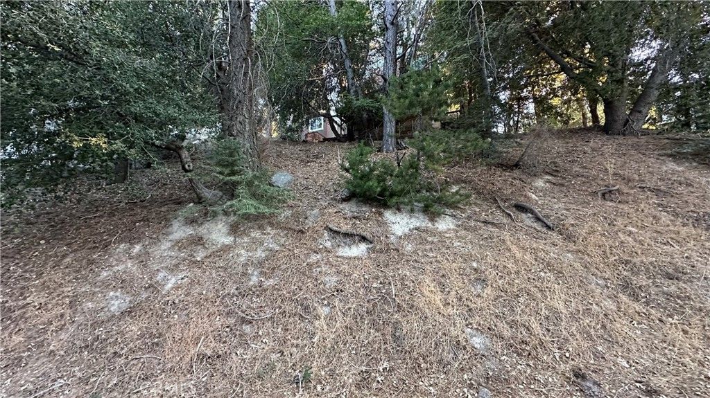 0 Mid Lane, Twin Peaks, CA 92391