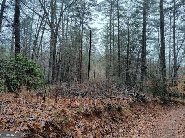 LOT 39 Kells Ridge Drive 39, East Ellijay, GA 30540