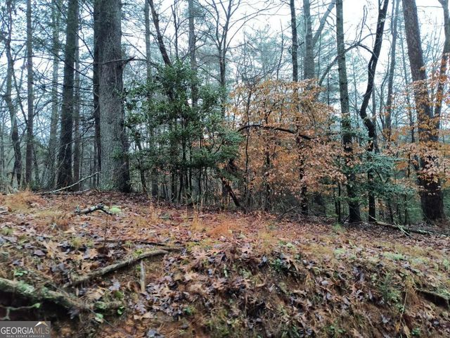 LOT 39 Kells Ridge Drive 39, East Ellijay, GA 30540
