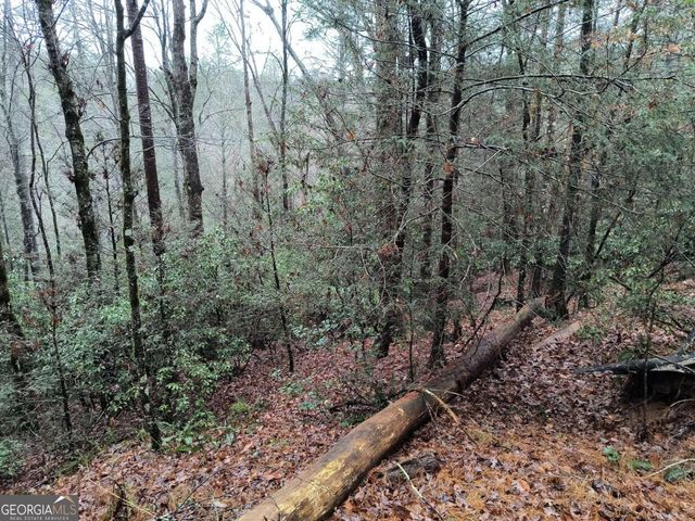 LOT 39 Kells Ridge Drive 39, East Ellijay, GA 30540