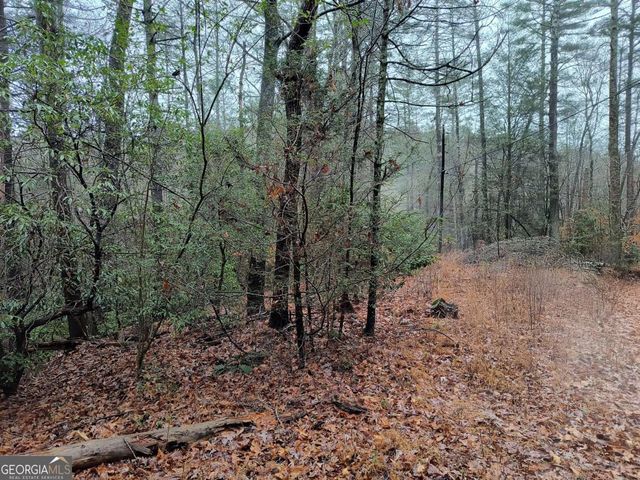 LOT 39 Kells Ridge Drive 39, East Ellijay, GA 30540