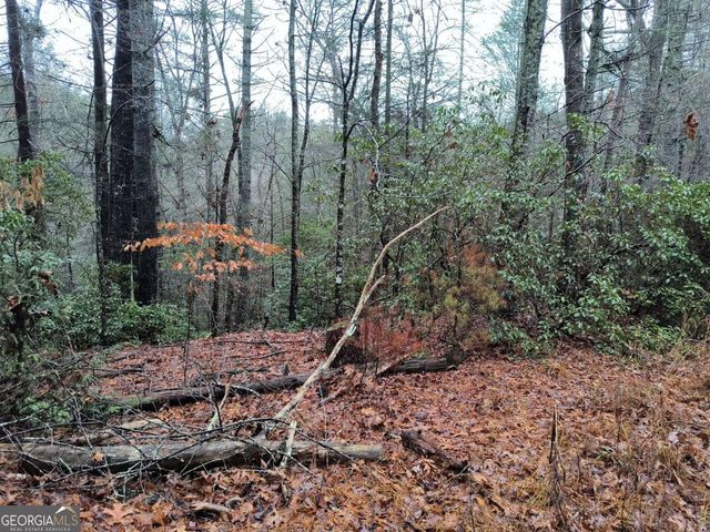 LOT 39 Kells Ridge Drive 39, East Ellijay, GA 30540