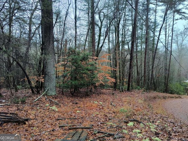 LOT 39 Kells Ridge Drive 39, East Ellijay, GA 30540