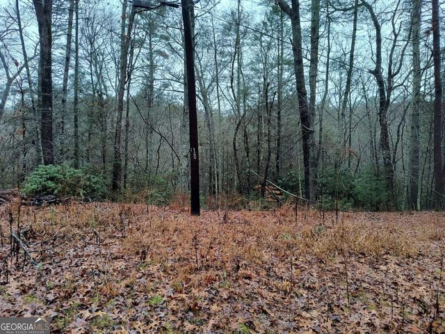 LOT 39 Kells Ridge Drive 39, East Ellijay, GA 30540