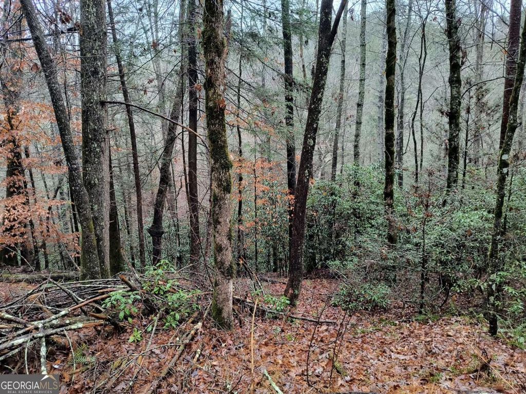 LOT 39 Kells Ridge Drive 39, East Ellijay, GA 30540