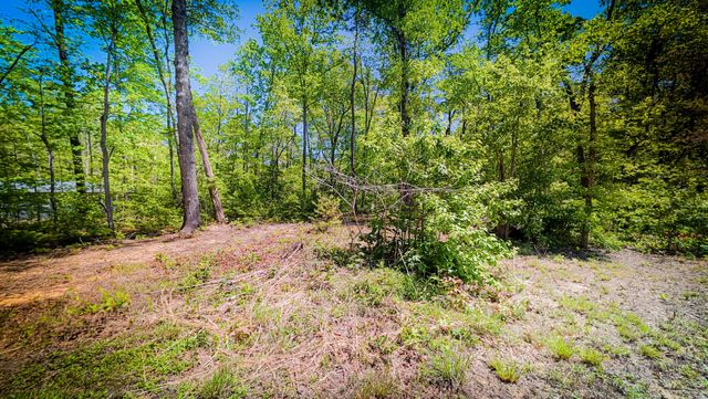 506 Dollar Dr, Altamont, TN 37301