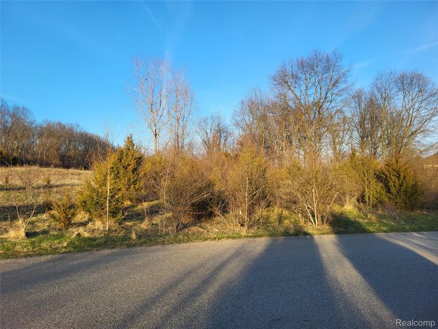 TBD Parcel C Olivia Drive, Milford Charter Township, MI 48380