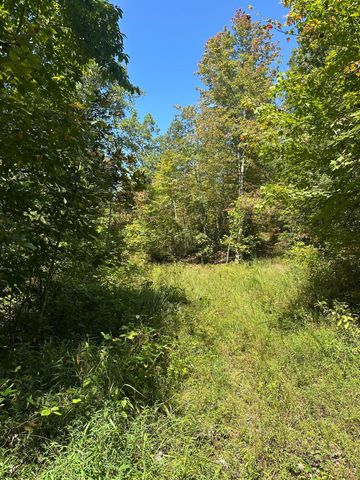 3317 Cow Branch Road, West Liberty, KY 41472