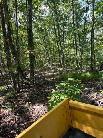 3317 Cow Branch Road, West Liberty, KY 41472