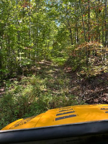 3317 Cow Branch Road, West Liberty, KY 41472