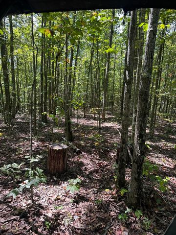 3317 Cow Branch Road, West Liberty, KY 41472