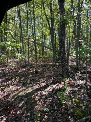 3317 Cow Branch Road, West Liberty, KY 41472