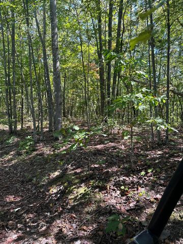 3317 Cow Branch Road, West Liberty, KY 41472