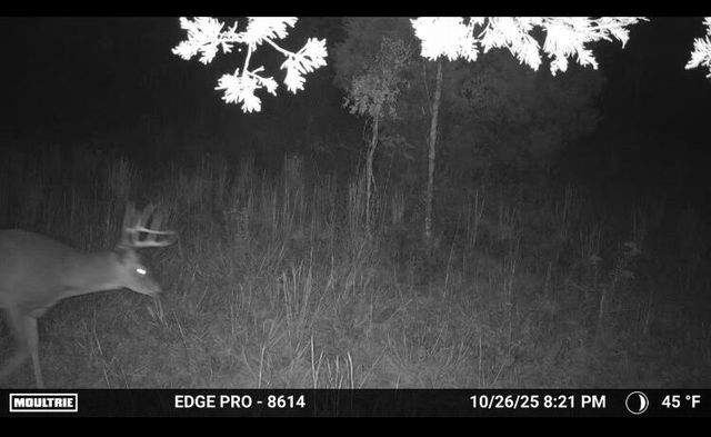 3317 Cow Branch Road, West Liberty, KY 41472