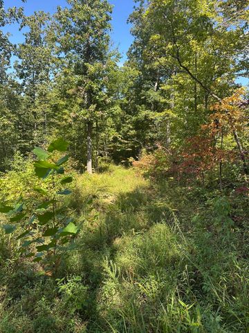 3317 Cow Branch Road, West Liberty, KY 41472