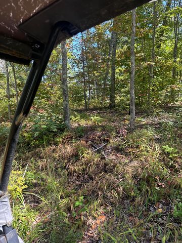 3317 Cow Branch Road, West Liberty, KY 41472