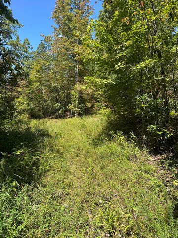 3317 Cow Branch Road, West Liberty, KY 41472