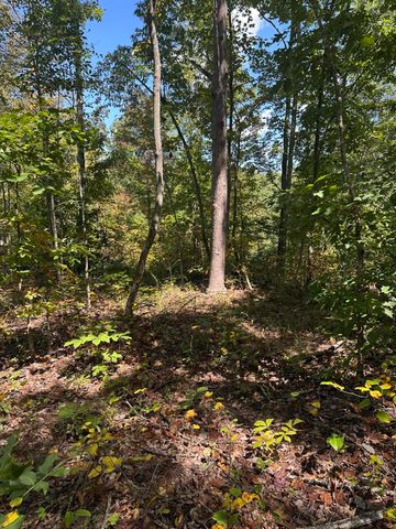 3317 Cow Branch Road, West Liberty, KY 41472