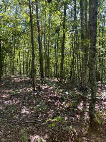 3317 Cow Branch Road, West Liberty, KY 41472