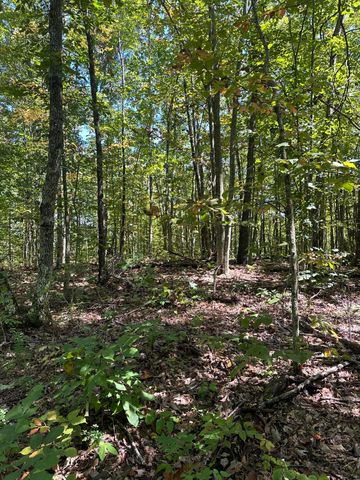 3317 Cow Branch Road, West Liberty, KY 41472