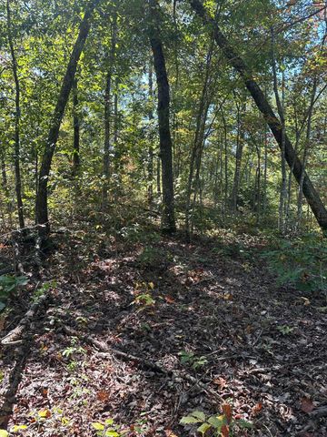 3317 Cow Branch Road, West Liberty, KY 41472