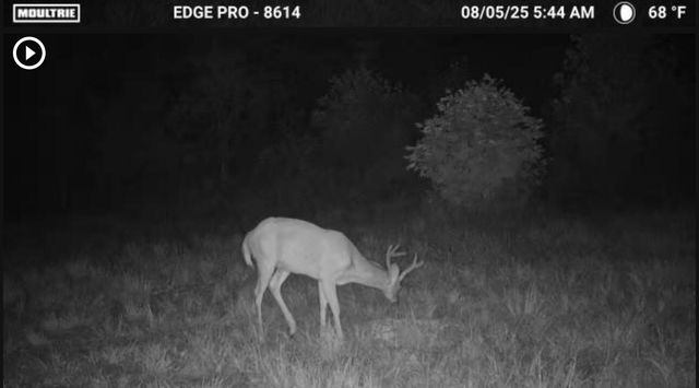 3317 Cow Branch Road, West Liberty, KY 41472