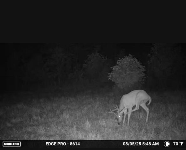 3317 Cow Branch Road, West Liberty, KY 41472