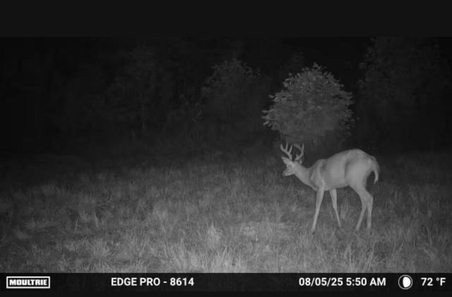 3317 Cow Branch Road, West Liberty, KY 41472