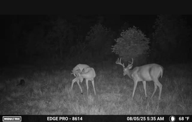 3317 Cow Branch Road, West Liberty, KY 41472