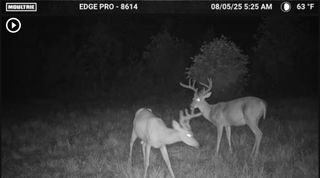 3317 Cow Branch Road, West Liberty, KY 41472