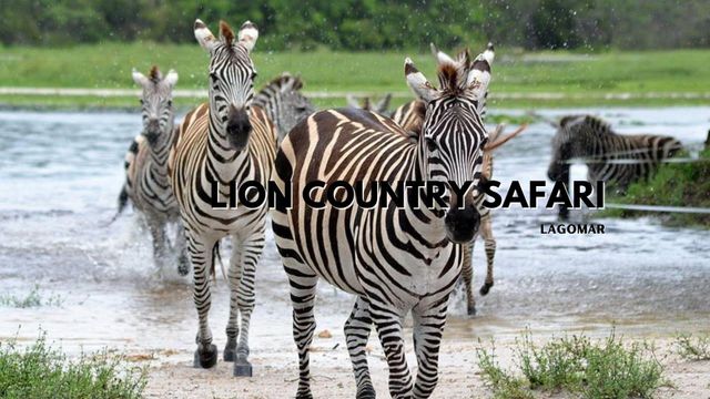 5187 2nd Road, Lake Worth, FL 33467