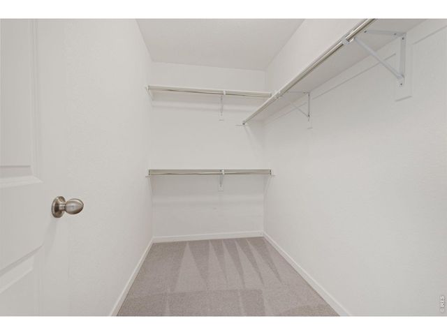 591 Greenville Aly, Erie, CO 80516