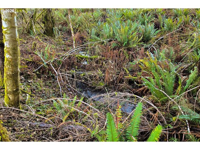 Silverwood Dr E2, Castle Rock, WA 98611