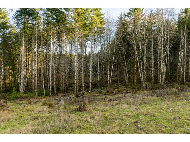 Silverwood Dr E2, Castle Rock, WA 98611