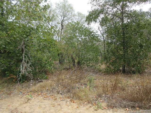 22965 addison, San Antonio, TX 78264