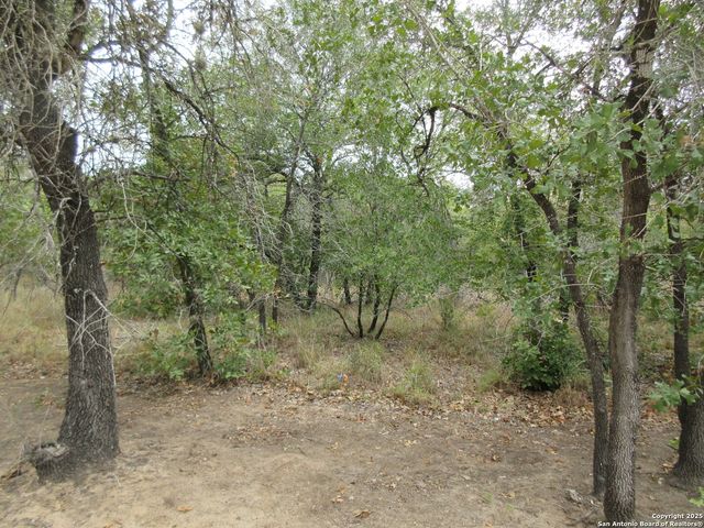 22965 addison, San Antonio, TX 78264