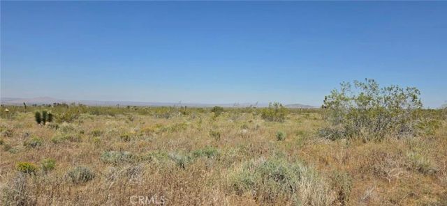 0 173rd E W-12, Llano, CA 93544