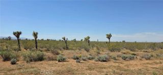 0 173rd E W-12, Llano, CA 93544