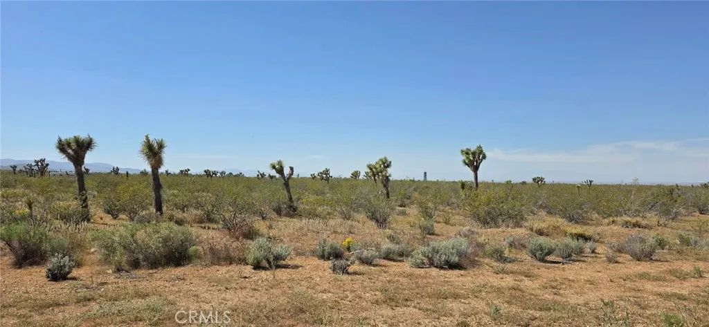 0 173rd E W-12, Llano, CA 93544