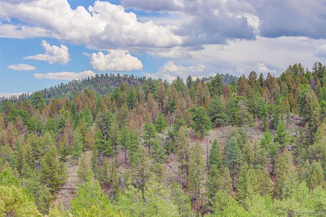 212 Skyhawk Lane, Guffey, CO 80820