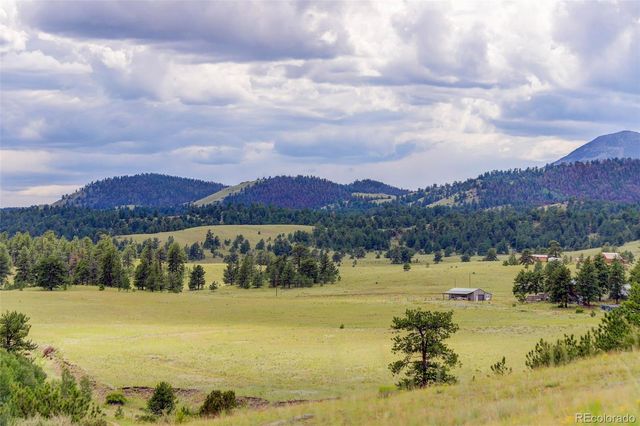212 Skyhawk Lane, Guffey, CO 80820
